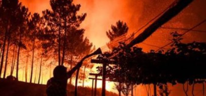Portugal: a huge fire that ravages the center of the country, has already made eight wounded