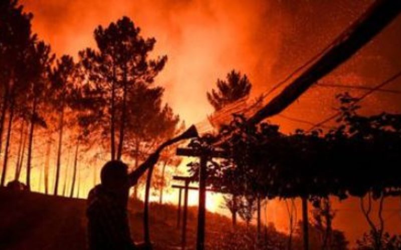 Portugal: a huge fire that ravages the center of the country, has already made eight wounded