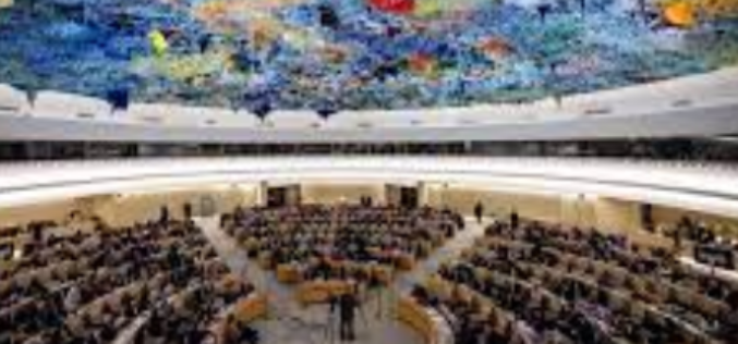 Africa at the 49th session of the Human Rights Council