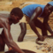 Africa: Foreign Investment and Human Rights Issues