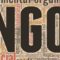 The role of NGOs in the promotion of human rights