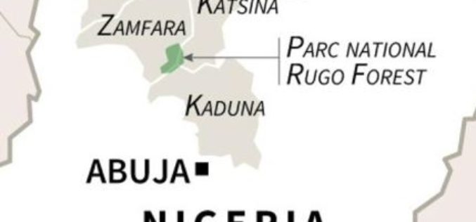 Human Rights Agency Strongly Condemns Attacks Killing Dozens in northwest Nigeria’s Zamfara state