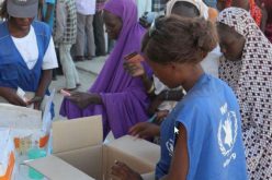 Nigeria: WFP helped more than one million people in the north of the country in December alone; It would need $ 143 million to help northeastern populations in the next 6 months