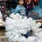 Yemen: the plight of begging children victims of war