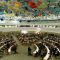 Reports; Saudi Arabia has committed War Crime in Yemen *