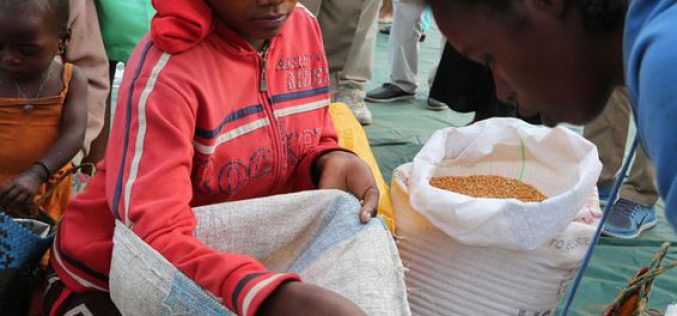 Madagascar: FAO and WFP Call for Urgent Action Against Increased Food Insecurity